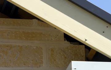 soffit repair Na Buirgh